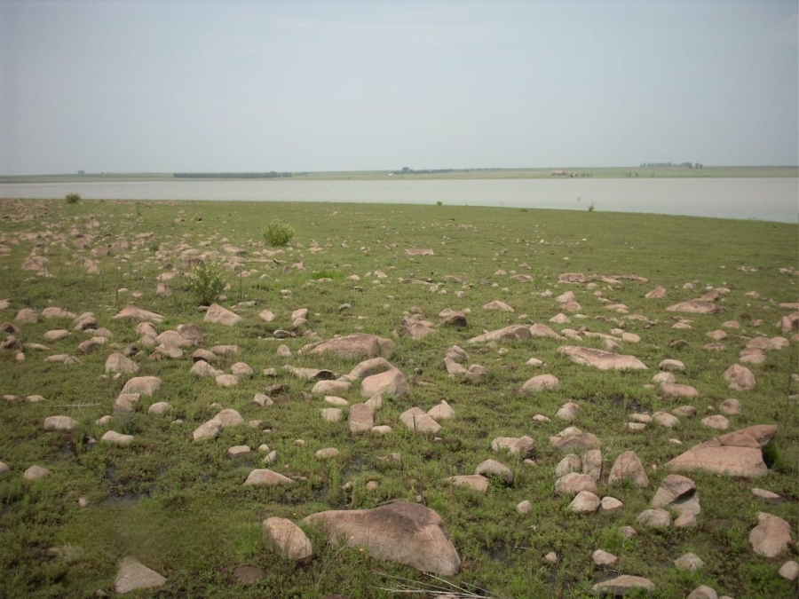 0 Bedroom Property for Sale in Oranjeville Free State